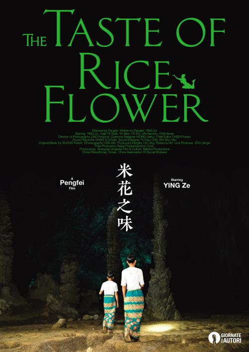 高中毕业证号在哪